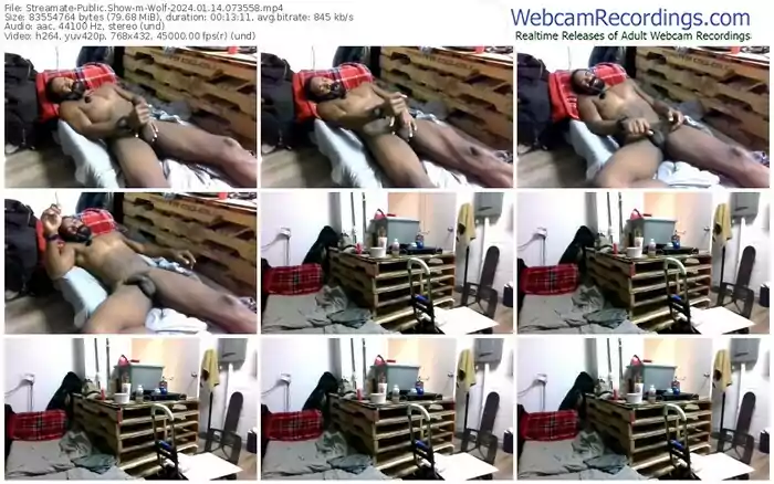 streamate-wolf-01-14-2024-07-35-58