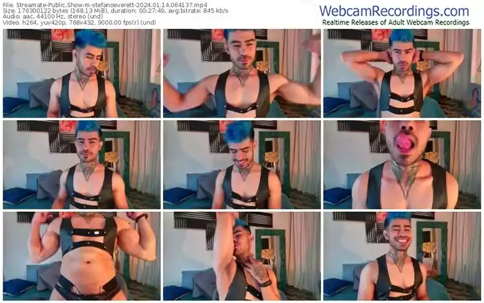 streamate-stefanoeverett-01-14-2024-06-41-37