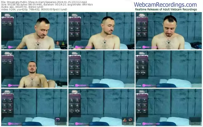 streamate-harryspearsss-01-15-2024-13-11-12