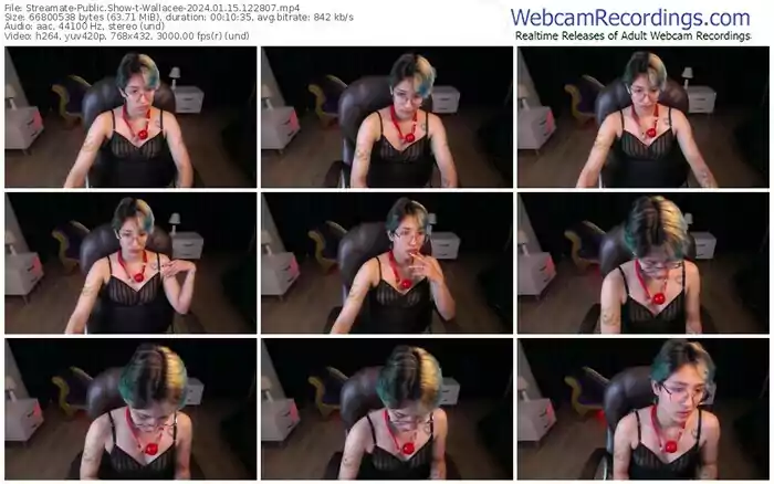 streamate-wallacee-01-15-2024-12-28-07