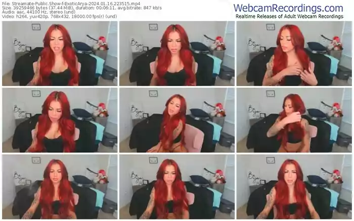 streamate-exoticarya-01-16-2024-22-35-15