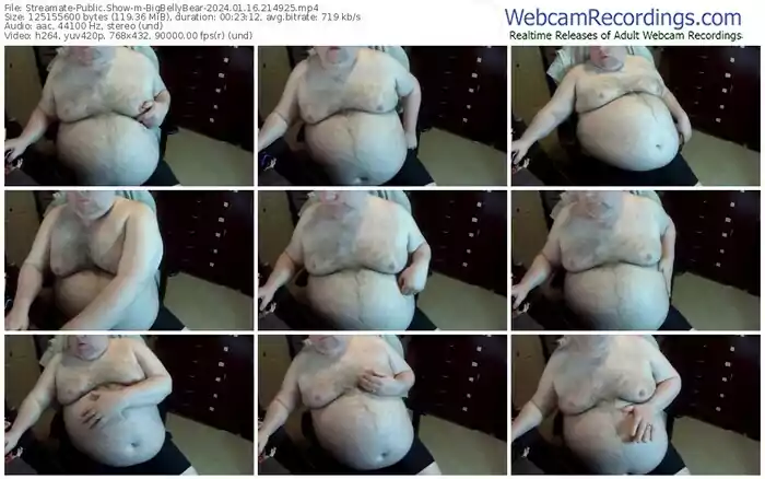 streamate-bigbellybear-01-16-2024-21-49-25