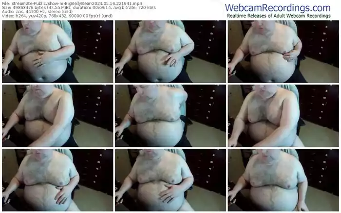 streamate-bigbellybear-01-16-2024-22-19-41
