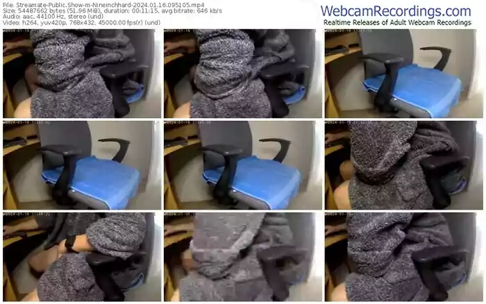 streamate-nineinchhard-01-16-2024-09-51-05