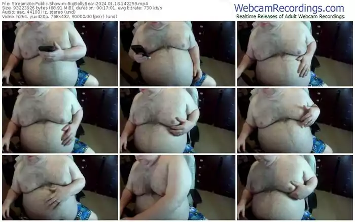 streamate-bigbellybear-01-18-2024-14-22-59