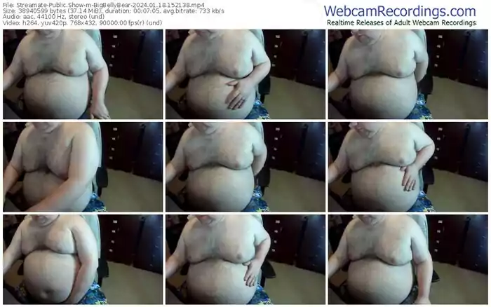 streamate-bigbellybear-01-18-2024-15-21-38