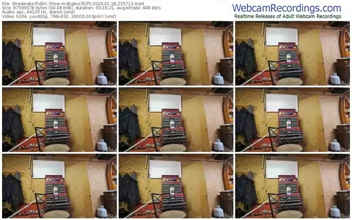 streamate-bigmo3535-01-18-2024-21-57-13