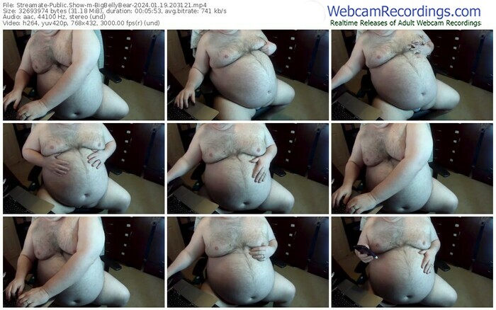 streamate-bigbellybear-01-19-2024-20-31-21
