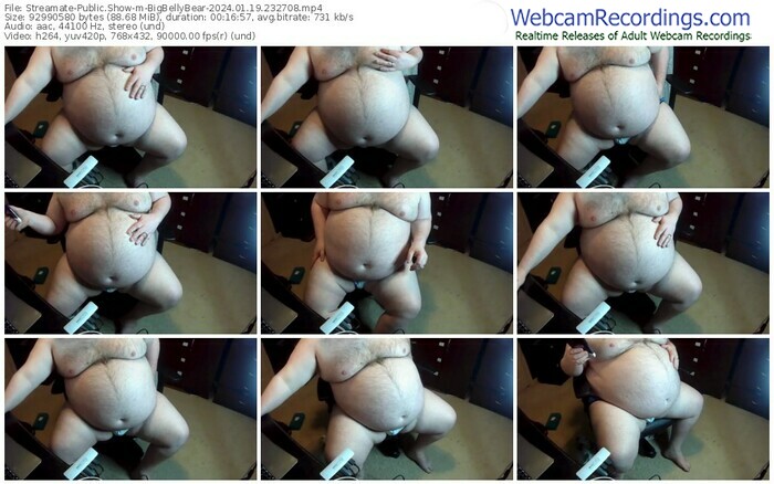 streamate-bigbellybear-01-19-2024-23-27-08