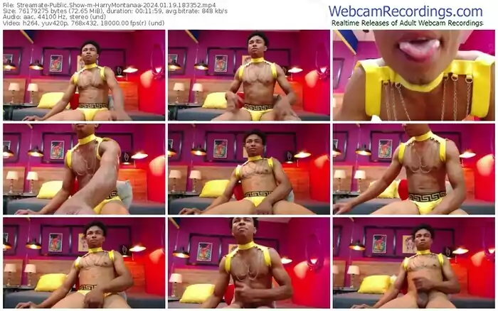 streamate-harrymontanaa-01-19-2024-18-33-52