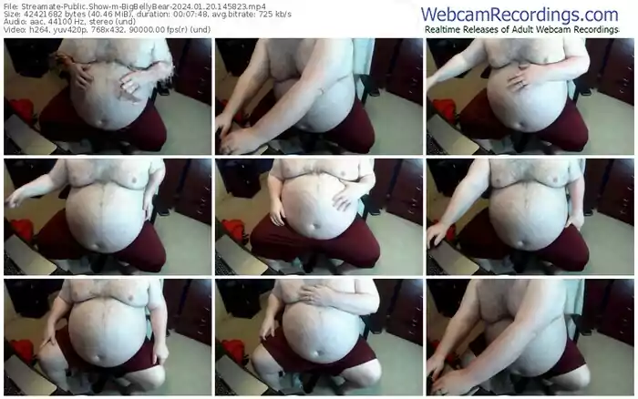 streamate-bigbellybear-01-20-2024-14-58-23