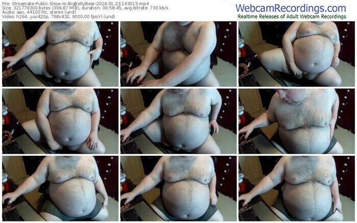 streamate-bigbellybear-01-23-2024-16-30-15