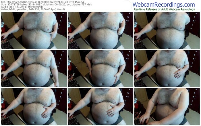 streamate-bigbellybear-01-23-2024-17-31-45