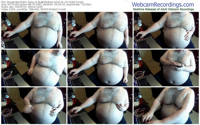 streamate-bigbellybear-01-23-2024-19-26-14