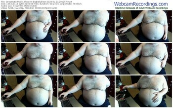 streamate-bigbellybear-01-23-2024-20-02-57