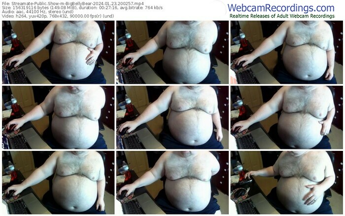 streamate-bigbellybear-01-23-2024-20-02-57