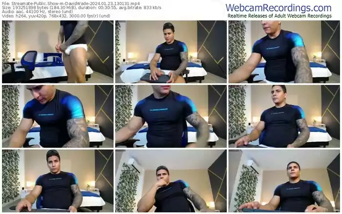 streamate-davidwade-01-23-2024-13-01-31