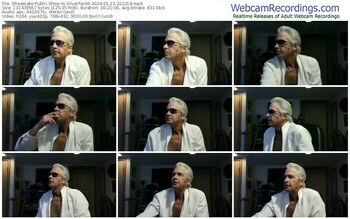 streamate-silverfox69-01-23-2024-22-22-18