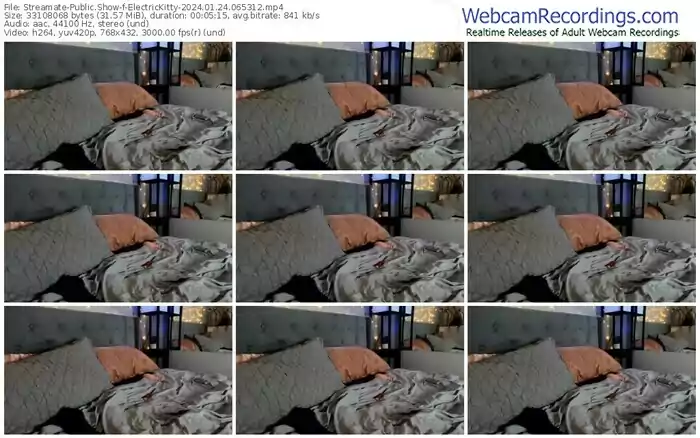 streamate-electrickitty-01-24-2024-06-53-12