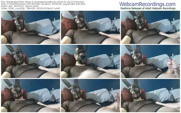 streamate-averagehousebunny-01-25-2024-21-16-03