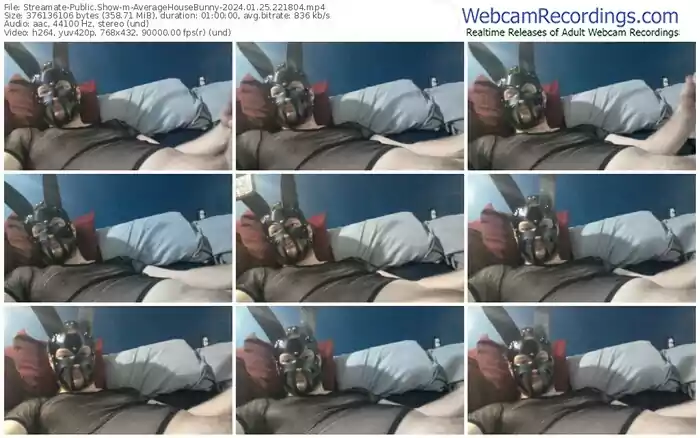 streamate-averagehousebunny-01-25-2024-22-18-04