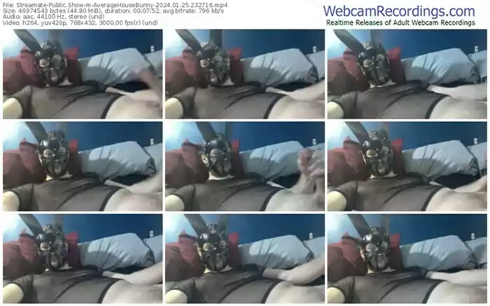 streamate-averagehousebunny-01-25-2024-23-27-16
