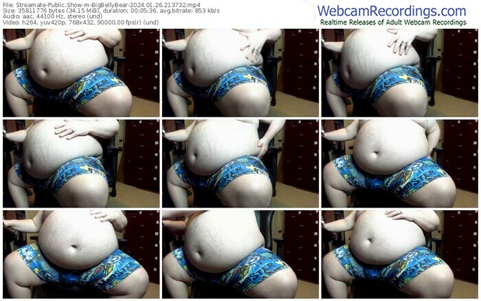streamate-bigbellybear-01-26-2024-21-37-32