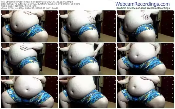 streamate-bigbellybear-01-26-2024-21-37-32