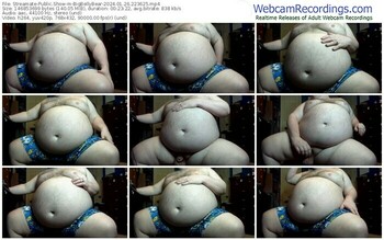 streamate-bigbellybear-01-26-2024-22-36-25