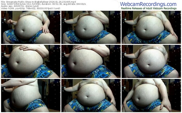 streamate-bigbellybear-01-26-2024-23-14-05
