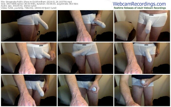 streamate-dickfordham-01-26-2024-19-37-58