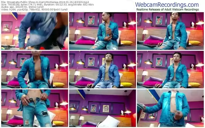 streamate-harrymontanaa-01-26-2024-18-33-29