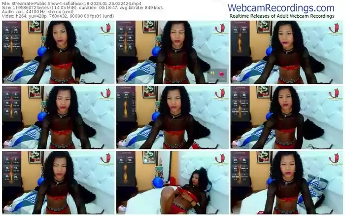 streamate-sofiafoxxx18-01-26-2024-02-24-26