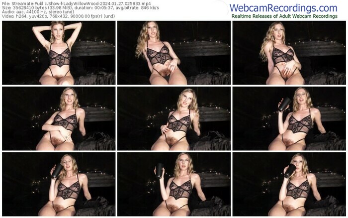 streamate-ladywillowwood-01-27-2024-02-58-33