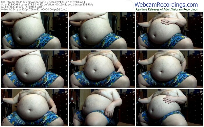 streamate-bigbellybear-01-27-2024-01-07-10