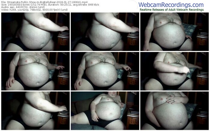 streamate-bigbellybear-01-27-2024-18-06-41