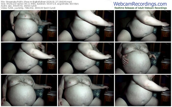 streamate-bigbellybear-01-27-2024-18-42-49