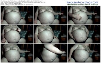 streamate-bigbellybear-01-27-2024-18-50-53