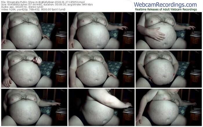 streamate-bigbellybear-01-27-2024-18-50-53