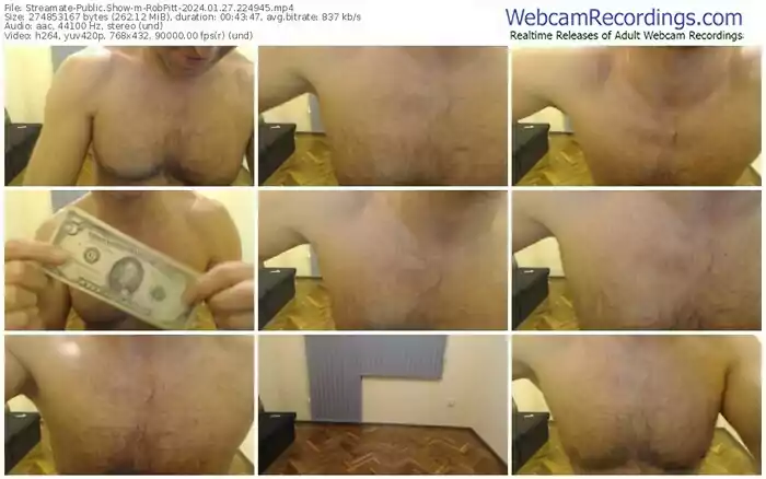 streamate-robpitt-01-27-2024-22-49-45