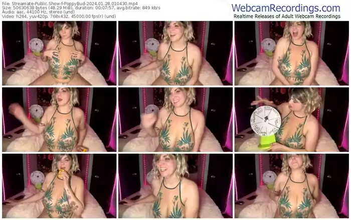streamate-poppybud-01-28-2024-01-04-30