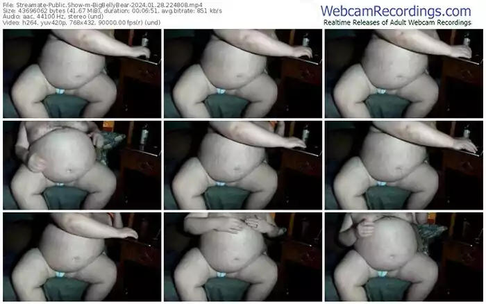 streamate-bigbellybear-01-28-2024-22-48-08