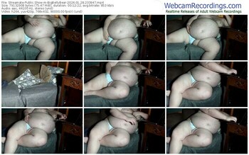 streamate-bigbellybear-01-28-2024-23-39-47