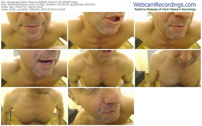streamate-robpitt-01-28-2024-23-36-59