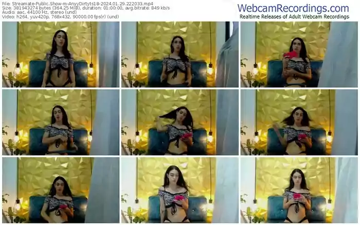 streamate-anyydirtyts18-01-29-2024-22-20-33