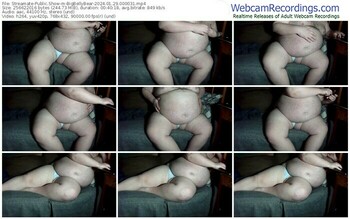 streamate-bigbellybear-01-29-2024-00-00-31