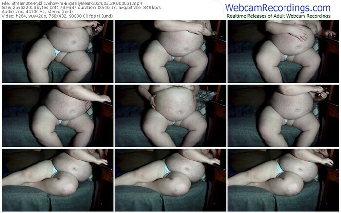 streamate-bigbellybear-01-29-2024-00-00-31