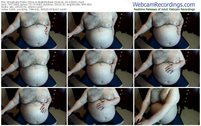 streamate-bigbellybear-01-30-2024-22-09-41