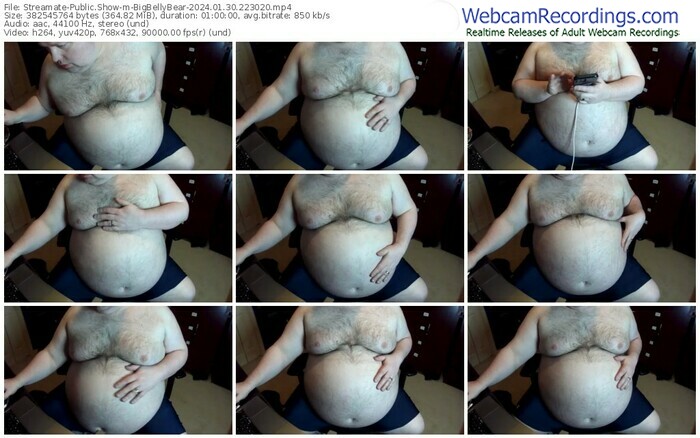 streamate-bigbellybear-01-30-2024-22-30-20
