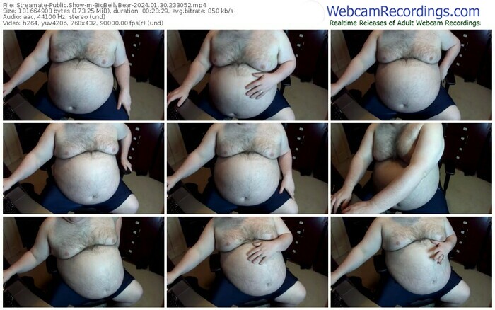 streamate-bigbellybear-01-30-2024-23-30-52